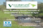 Planes de Manejo Forestal Vinculados al Aseguramiento de ...