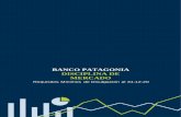 DISCIPLINA DE MARCADO - Banco Patagonia