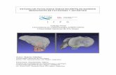 Mitidieri, M. Estudio de patologías óseas en reptiles ...