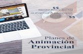Planes de Animación Provincial