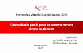 Seminarios Virtuales Especializados OCEX Oportunidades ...