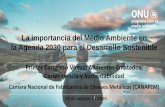 La importancia del Medio Ambiente en la Agenda 2030 para ...