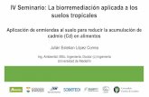 IV Seminario: La biorremediación aplicada a los suelos ...