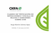 Presentacion OEFA sobre Cuadro de Tipificacion OVM