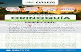 Folleto Semillas Pioneer 2021 - Orinoquia