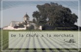 De la Chufa a la Horchata - Inicio - El Machistre