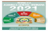 INFORME A LA ASAMBLEA GENERAL ORDINARIA 2021
