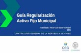 Guía Regularización Activo Fijo Municipal