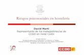 David Martí Representante de los trabajadores/as de CCOO ...