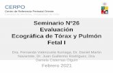 Seminario Nº26 Evaluación ecografícade Tórax y Pulmón Fetal I