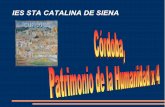 IES STA CATALINA DE SIENA - ciudadespatrimonio.org