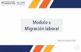 Modulo 1 Migración laboral