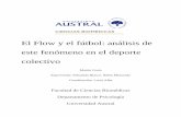 El Flow y el fútbol: análisis de este ... - Austral