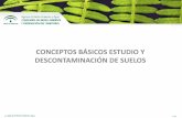 CONCEPTOS BÁSICOS ESTUDIO Y DESCONTAMINACIÓN DE SUELOS