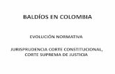 BALDÍOS EN COLOMBIA