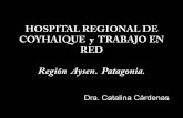 HOSPITAL REGIONAL DE COYHAIQUE y TRABAJO EN RED