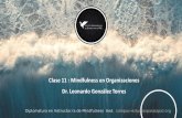 Clase 11 : Mindfulness en Organizaciones Dr. Leonardo ...