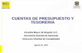 CUENTAS DE PRESUPUESTO Y TESORERIA - shd.gov.co