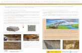 Restauración en piedra. Factores de alteración ambientales