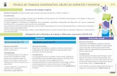 TÉCNICA DE TRABAJO COOPERATIVO: GRUPO DE EXPERTOS Y ...