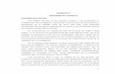 MOMENTO II REFERENCIAS TEORICAS Investigaciones previas
