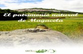 Estudio del patrimonio natural del municipio de Magacela ...