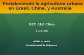 Fortaleciendo la agricultura urbana en Brasil, China, y ...