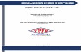 GERENCIA NACIONAL DE REDES DE GAS Y DUCTOS
