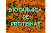 Rol biológico de las proteínas - unq.edu.ar