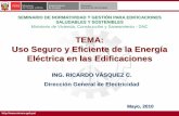 TEMA: Uso Seguro y Eficiente de la Energía Eléctrica en ...
