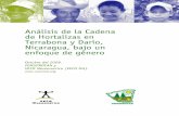 Análisis de la Cadena de Hortalizas en Terrabona y Darío ...
