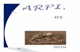 2016 - arqueologiaprehistorica.es