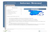 Informe Mensual - N-Economia