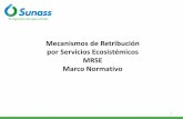 Mecanismos de Retribución por Servicios Ecosistémicos MRSE ...