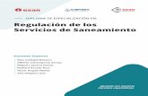 DIPLOMA DE ESPECIALIZACIÓN EN: Regulación de los Servicios ...