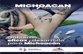 Gobierno eﬁcaz , desarrollo Michoacán