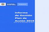 Informe de Gestión Plan de Acción 2019