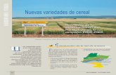 Nuevas variedades de cereal - NAVARRA AGRARIA