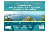 Las Micro-área marinas como modelo de gestión sostenible ...