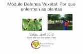 Módulo Defensa Vexetal: Por que enferman as plantas