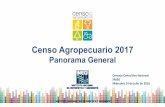 Censo Agropecuario 2017 - SNIEG