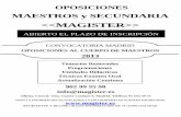 ABIERTO EL PLAZO DE INSCRIPCIÓN - Magister