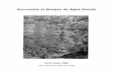Texto excursión bosque de Agua García de Miguel montar .d–
