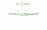 Documento de Trabajo - PRISMA