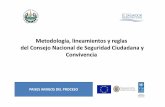 Metodologia y Lineamientos CNSCC