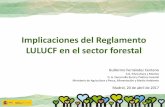 Implicaciones del Reglamento LULUCF en el sector forestal