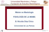 Máster en Mastología FISIOLOGÍA DE LA MAMA B. Nicolás Díaz ...