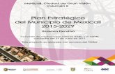 Resumen Ejecutivo - MEXICALI GRAN VISION