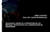 itziar CASTANY Tutor: DR. carlos MARMOLEJO