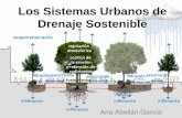 Los Sistemas Urbanos de Drenaje Sostenible